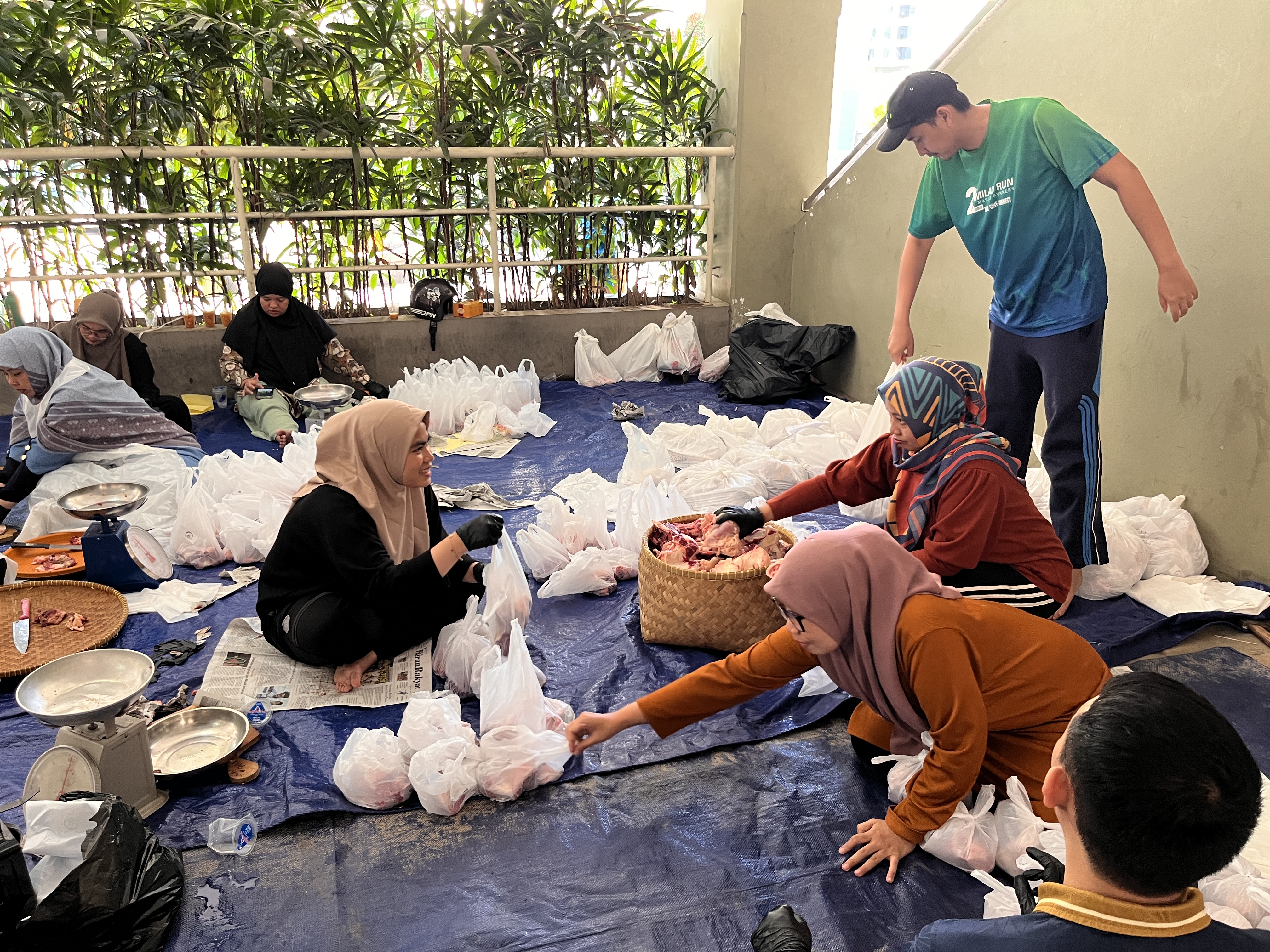 Praktik Penyembelihan Hewan Qurban 2026